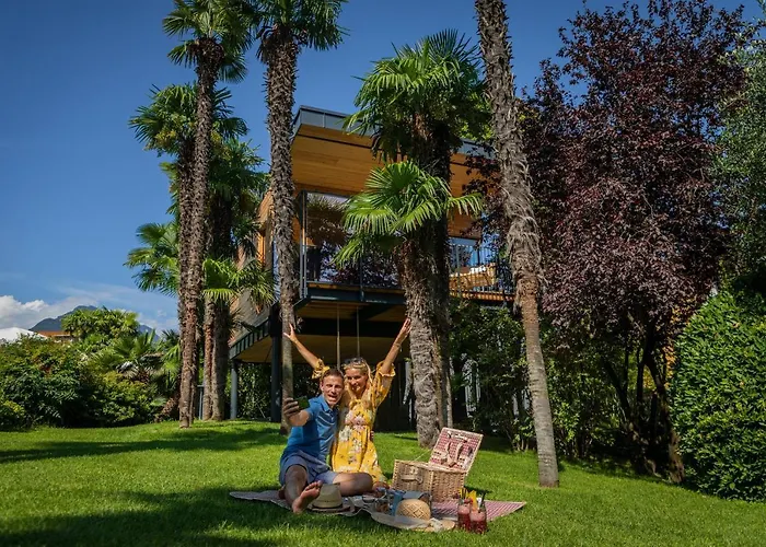 Treelodgy, The Tree House