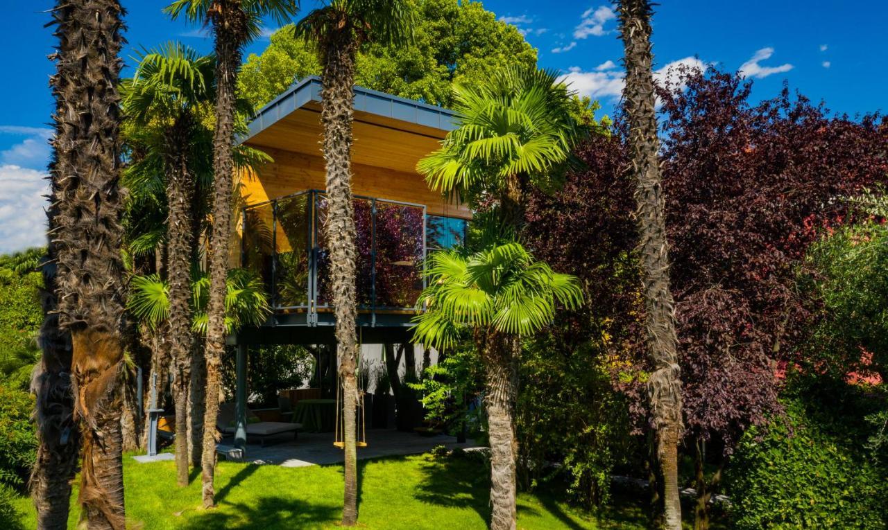 Treelodgy, The Tree House *