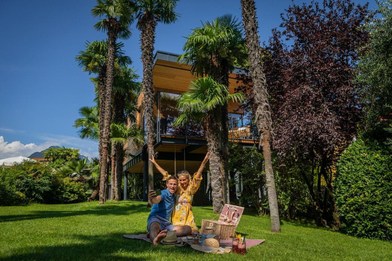 Treelodgy, The Tree House *